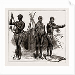The Indian Section Of The Colonial And Indian Exhibition: The Ethnological Collection, 1886 by Anonymous