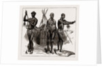 The Indian Section Of The Colonial And Indian Exhibition: The Ethnological Collection, 1886 by Anonymous