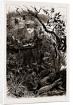 The Indian Section Of The Colonial And Indian Exhibition, 1886 by Anonymous