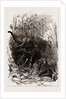 The Indian Section Of The Colonial And Indian Exhibition, 1886 by Anonymous