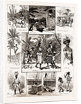 Life In Jamaica, 1886 by Anonymous