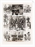 Life In Jamaica, 1886 by Anonymous
