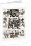 Life In Jamaica, 1886 by Anonymous