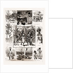 Life In Jamaica, 1886 by Anonymous