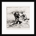 Illustrations From The Catalogue Of The Royal Institute Of Painters In Water Colours, 1886 by Anonymous