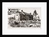 Carrigrohane Farm, From Which The Tenant Has Been Evicted. Now Occupied By The Cork Defence Union, 1886 by Anonymous
