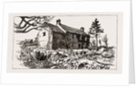 Carrigrohane Farm, From Which The Tenant Has Been Evicted. Now Occupied By The Cork Defence Union, 1886 by Anonymous