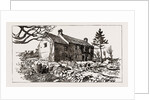 Carrigrohane Farm, From Which The Tenant Has Been Evicted. Now Occupied By The Cork Defence Union, 1886 by Anonymous