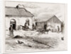 Police Hut To Protect Mike Flynn's Cottage, 1886 by Anonymous
