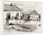 Police Hut To Protect Mike Flynn's Cottage, 1886 by Anonymous