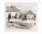 Police Hut To Protect Mike Flynn's Cottage, 1886 by Anonymous