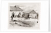 Police Hut To Protect Mike Flynn's Cottage, 1886 by Anonymous