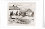 Police Hut To Protect Mike Flynn's Cottage, 1886 by Anonymous