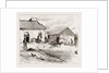 Police Hut To Protect Mike Flynn's Cottage, 1886 by Anonymous