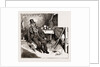 Boycotting In Ireland: Mike Flynn, Aged 70, Who Was Shot In The Leg With Marbles On Suspicion Of Having Paid His Rent, 1886 by Anonymous