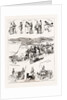 The Volunteer Manoeuvres Near Portsmouth, UK, 1886 by Anonymous