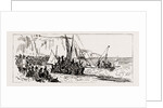 The Volunteer Manoeuvres At Dover, UK, 1886 by Anonymous