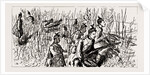 The Volunteer Manoeuvres At Dover, UK, 1886 by Anonymous