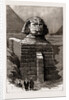 Antiquarian Excavations In Egypt, 1886 by Anonymous