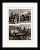 The Calpe Hunt, Gibraltar, 1886 by Anonymous