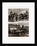 The Calpe Hunt, Gibraltar, 1886 by Anonymous