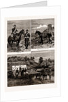 The Calpe Hunt, Gibraltar, 1886 by Anonymous