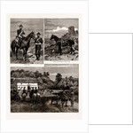 The Calpe Hunt, Gibraltar, 1886 by Anonymous
