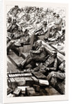 The Home Rule Debate In The House Of Commons, London, UK, 1886 by Anonymous