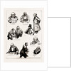 The Home Rule Debate In The House Of Commons, London, UK, 1886 by Anonymous