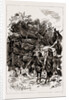 The Colonial And Indian Exhibition, 1886 by Anonymous