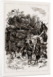 The Colonial And Indian Exhibition, 1886 by Anonymous