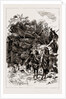 The Colonial And Indian Exhibition, 1886 by Anonymous