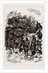 The Colonial And Indian Exhibition, 1886 by Anonymous