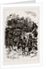 The Colonial And Indian Exhibition, 1886 by Anonymous