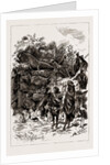 The Colonial And Indian Exhibition, 1886 by Anonymous
