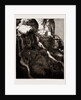 Schermbrucker Falls, South Africa, 1886 by Anonymous