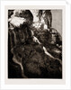 Schermbrucker Falls, South Africa, 1886 by Anonymous