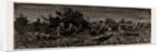 The Expedition To Upper Burma, 1886 by Anonymous