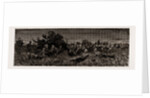 The Expedition To Upper Burma, 1886 by Anonymous