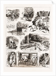 Notes From An Officer's Diary In Kashmir, India, 1886 by Anonymous