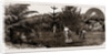 Winter At Taranaki, New Zealand, 1886 by Anonymous