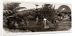 Winter At Taranaki, New Zealand, 1886 by Anonymous