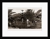Winter At Taranaki, New Zealand, 1886 by Anonymous