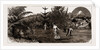Winter At Taranaki, New Zealand, 1886 by Anonymous