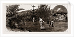 Winter At Taranaki, New Zealand, 1886 by Anonymous