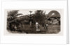 Winter At Taranaki, New Zealand, 1886 by Anonymous