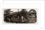 Winter At Taranaki, New Zealand, 1886 by Anonymous