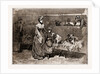 Among The Bull Dogs At The Kennel Club Show, UK, 1886 by Anonymous