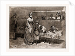Among The Bull Dogs At The Kennel Club Show, UK, 1886 by Anonymous