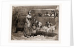 Among The Bull Dogs At The Kennel Club Show, UK, 1886 by Anonymous